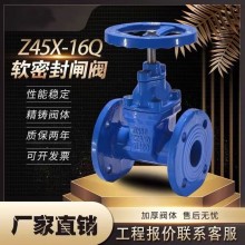 奧金閥門 堅(jiān)久耐用軟密封閘閥 Z45-16Q